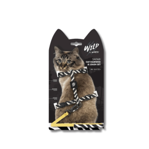 Set Correa y Arnés Safari